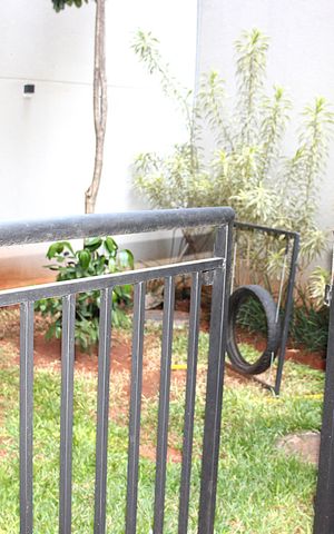 Apartamento para alugar com 25m², 1 quarto e sem vagaPetPlace
