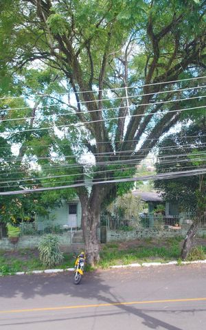 Casa à venda com 320m², 4 quartos e 5 vagasVista da Suíte