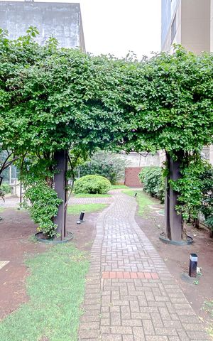Apartamento para alugar com 50m², 2 quartos e 1 vagaÁrea comum - Área Externa