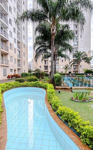 Apartamento para alugar com 50m², 2 quartos e 1 vagaÁrea comum - Área Externa