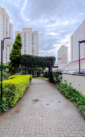 Apartamento para alugar com 50m², 2 quartos e 1 vagaÁrea comum - Área Externa