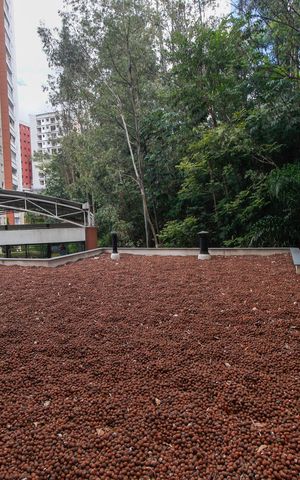 Apartamento à venda com 96m², 3 quartos e 2 vagasVista do Quarto 1