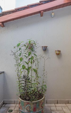 Casa à venda com 799m², 4 quartos e 2 vagasVaranda