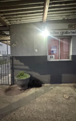 Apartamento à venda com 58m², 2 quartos e 1 vaga Apartamento à venda com 58m², 2 quartos e 1 vagaFachada + Placa