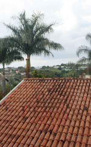 Casa de condomínio para alugar com 779m², 3 quartos e 3 vagasQuarto 2
