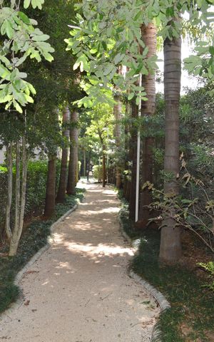 Apartamento à venda com 100m², 3 quartos e 2 vagasBosque