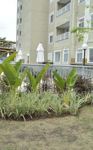 Apartamento para alugar com 58m², 2 quartos e sem vagaÁrea Comum