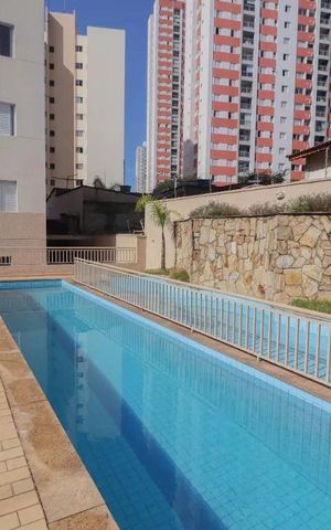 Apartamento para alugar com 64m², 2 quartos e 1 vaga Apartamento para alugar com 64m², 2 quartos e 1 vagaÁrea comum - Piscina