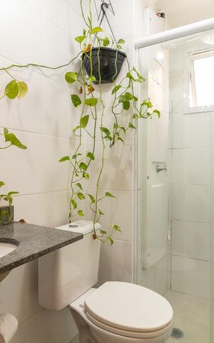 Apartamento à venda com 47m², 2 quartos e 1 vagaBanheiro