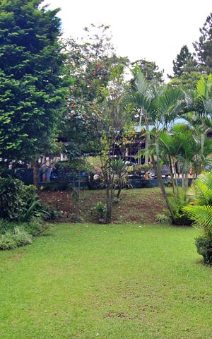 Apartamento para alugar com 56m², 2 quartos e sem vagaQuarto 2 Vista 
