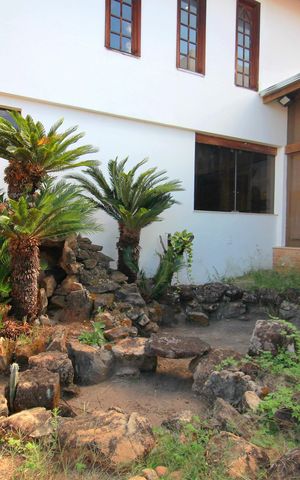 Casa à venda com 800m², 5 quartos e 10 vagasCascata