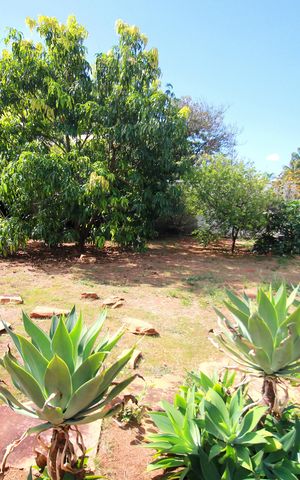 Casa à venda com 800m², 5 quartos e 10 vagasQuintal