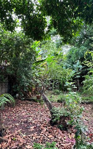 Casa para alugar com 1506m², 2 quartos e 3 vagas Casa para alugar com 1506m², 2 quartos e 3 vagasQuintal