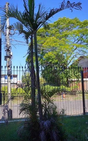 Casa à venda com 380m², 3 quartos e 5 vagasVista da Sala