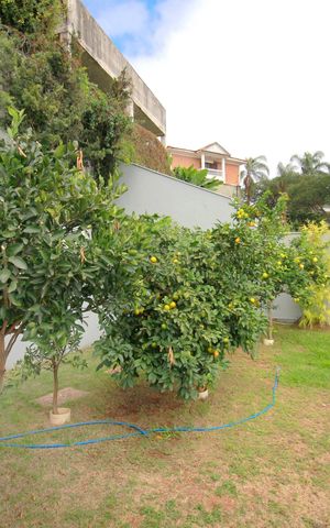 Casa à venda com 221m², 2 quartos e 4 vagasQuintal
