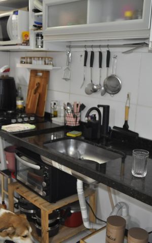 Apartamento à venda com 50m², 2 quartos e sem vagaCozinha/ Área de serviço