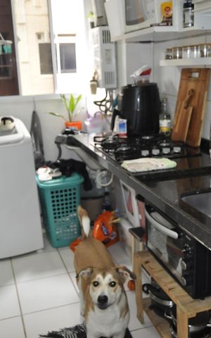 Apartamento à venda com 50m², 2 quartos e sem vagaCozinha/ Área de serviço