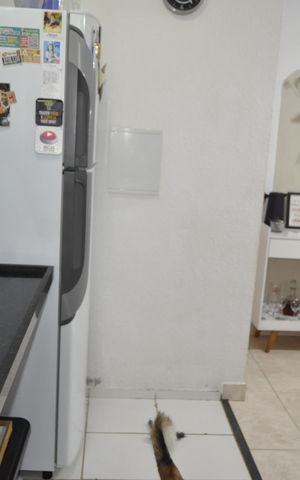 Apartamento à venda com 50m², 2 quartos e sem vagaCozinha/ Área de serviço