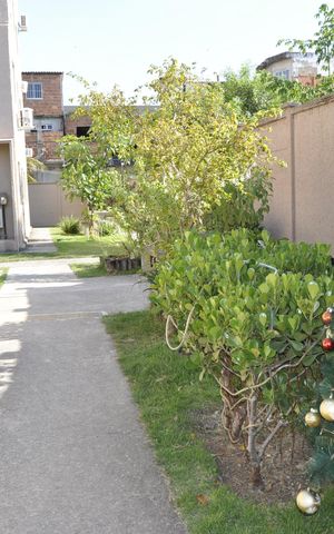 Apartamento à venda com 50m², 2 quartos e sem vagaÁrea comum
