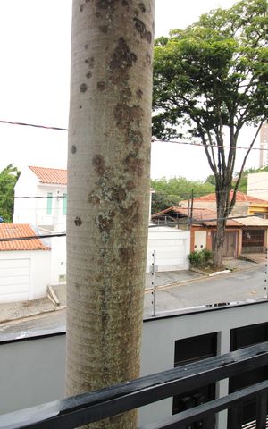 Apartamento para alugar com 34m², 1 quarto e sem vagaVista da Varanda
