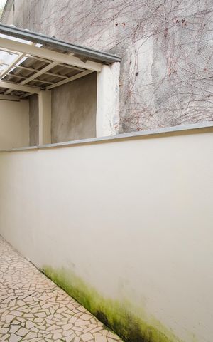 Casa para alugar com 200m², 3 quartos e 1 vagaQuintal e área de serviço