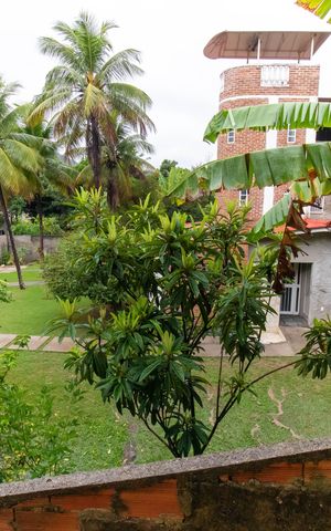 Casa para alugar com 750m², 3 quartos e 2 vagasVista do Quarto 2
