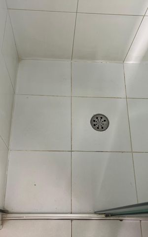 Apartamento à venda com 77m², 2 quartos e 1 vaga Apartamento à venda com 77m², 2 quartos e 1 vagaBanheiro