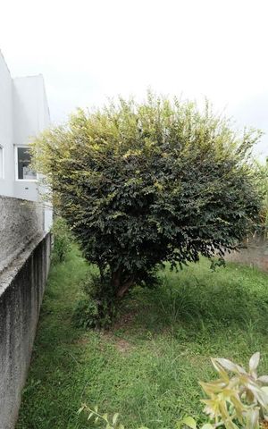Casa à venda com 6672m², 2 quartos e 3 vagasÁrea Externa