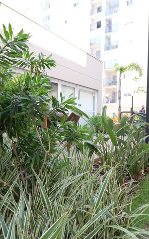 Apartamento para alugar com 64m², 3 quartos e 1 vagaÁrea comum