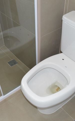 Apartamento à venda com 66m², 2 quartos e 1 vagaBanheiro da Suíte