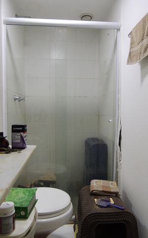 Apartamento à venda com 51m², 2 quartos e 1 vagaBanheiro da Suíte