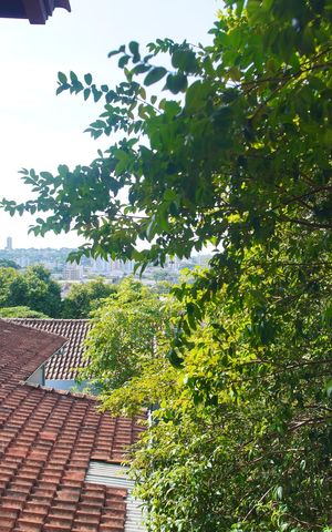 Casa à venda com 307m², 4 quartos e 2 vagasVista do Quarto 1