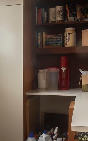 Apartamento para alugar com 64m², 2 quartos e 2 vagasQuarto de Serviço