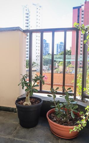Apartamento à venda com 143m², 4 quartos e 2 vagas Apartamento à venda com 143m², 4 quartos e 2 vagasVaranda da Suíte 2