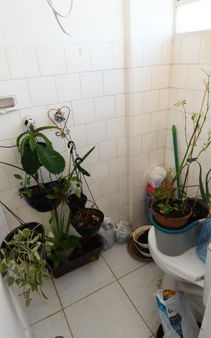Apartamento à venda com 120m², 2 quartos e sem vagaBanheiro de serviço