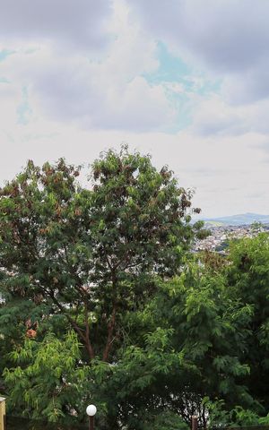 Casa à venda com 360m², 4 quartos e 2 vagas Casa à venda com 360m², 4 quartos e 2 vagasVista Quarto 1