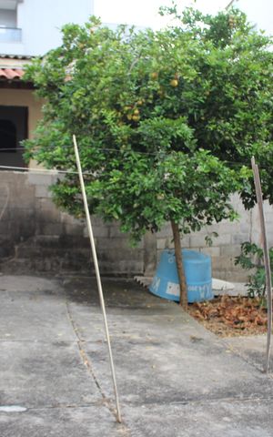 Casa à venda com 360m², 3 quartos e 3 vagasÁrea comum