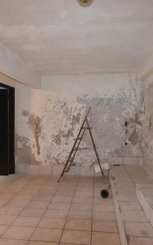 Casa à venda com 255m², 5 quartos e 2 vagasÁrea de Serviço