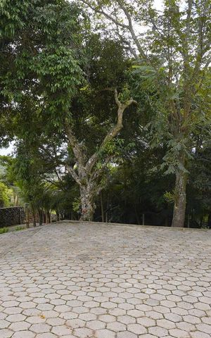 Casa para alugar com 200m², 3 quartos e 5 vagasPátio