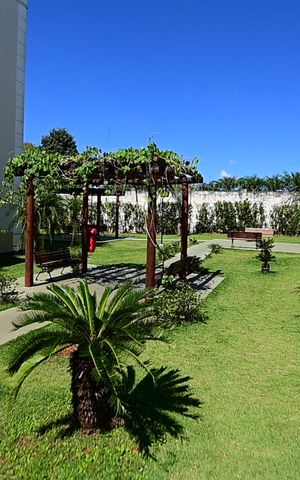 Apartamento para alugar com 45m², 2 quartos e 2 vagas Apartamento para alugar com 45m², 2 quartos e 2 vagasÁrea comum