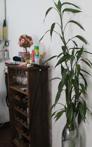 Casa à venda com 520m², 5 quartos e 3 vagasSala 02