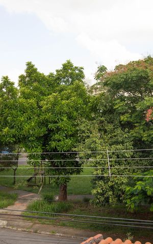 Casa para alugar com 800m², 5 quartos e 4 vagas Casa para alugar com 800m², 5 quartos e 4 vagasVista da Varanda
