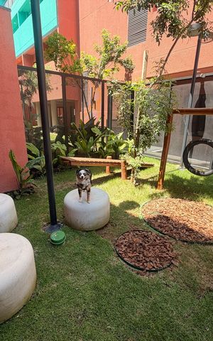 Studio para alugar com 24m², 1 quarto e sem vaga Studio para alugar com 24m², 1 quarto e sem vagaPet Place