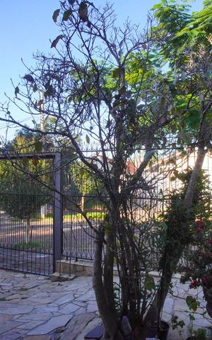 Casa à venda com 320m², 5 quartos e 6 vagasSala - Vista