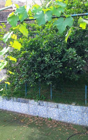 Casa à venda com 164m², 3 quartos e 8 vagasQuintal