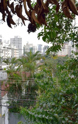 Apartamento para alugar com 72m², 2 quartos e sem vagaVista da varanda