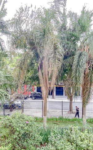 Apartamento à venda com 94m², 3 quartos e sem vagaVista da Varanda