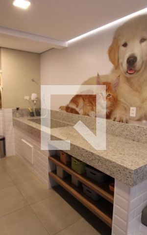 Apartamento para alugar com 38m², 1 quarto e sem vagapet