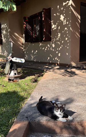 Casa à venda com 159m², 3 quartos e 2 vagas Casa à venda com 159m², 3 quartos e 2 vagasÁrea Externa
