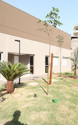Apartamento para alugar com 30m², 1 quarto e sem vagaÁrea comum